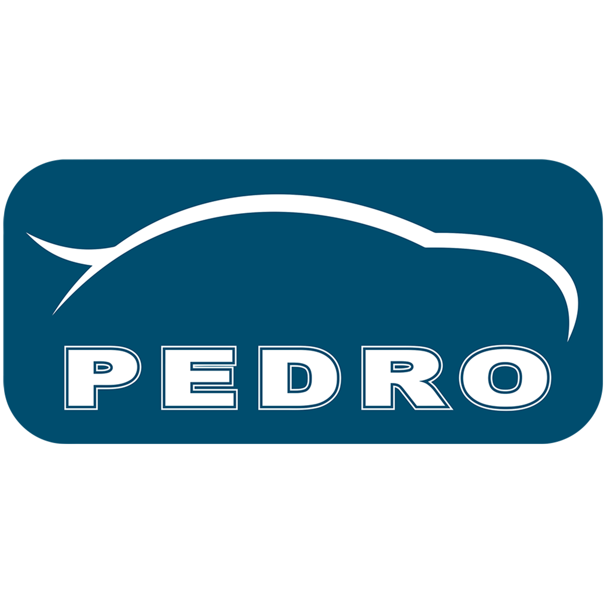 BLK_LOGO_PEDRO_SKRing_size
